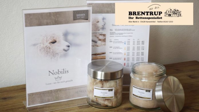 Brentrup_Alpaka_Decke_16-9_Logo