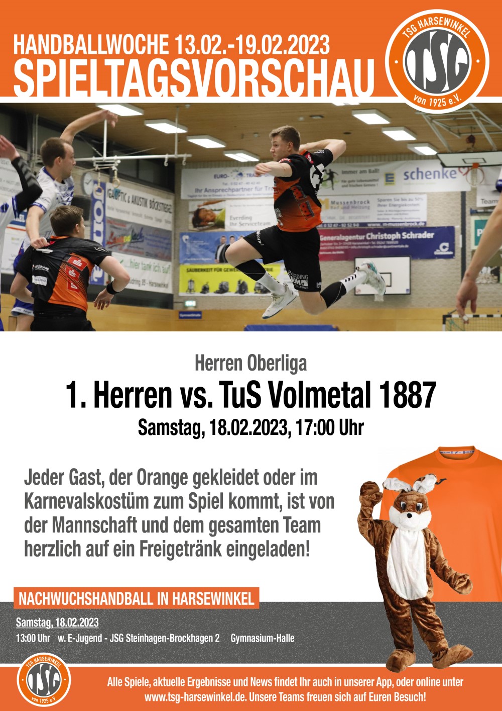 TSG Handball