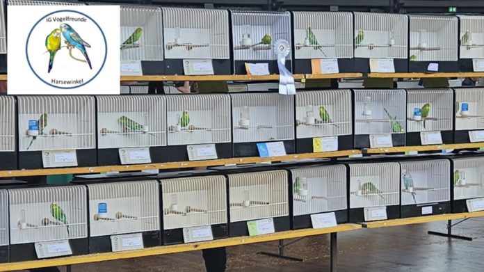 IG-Vogelfreunde_Harsewinkel_2023